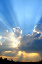 Click To View This Image