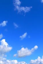 Click To View This Image