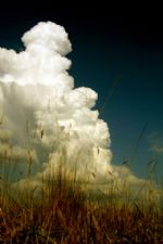 Click To View This Image