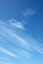 Click To View This Image