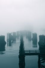 Click To View This Image