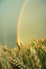 Click To View This Image