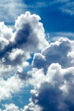 Click To View This Image