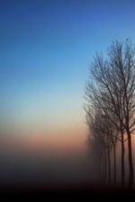 Click To View This Image