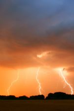 Click To View This Image