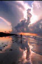 Click To View This Image