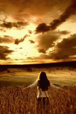 Click To View This Image