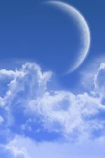 Click To View This Image