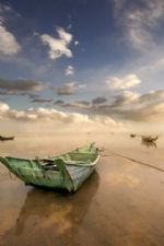 Click To View This Image