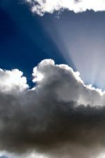 Click To View This Image