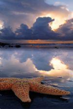 Click To View This Image