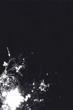 Click To View This Image