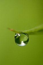 Click To View This Image