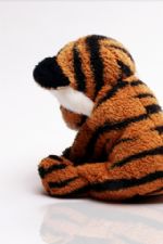 Click To View This Image