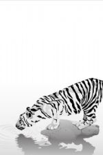 Click To View This Image