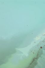 Click To View This Image