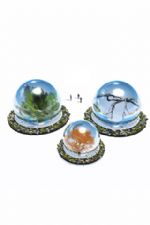 Click To View This Image