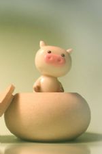 Click To View This Image