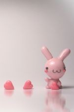 Click To View This Image