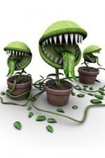 Click To View This Image