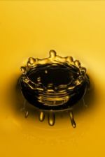 Click To View This Image