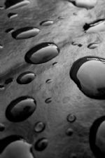 Click To View This Image