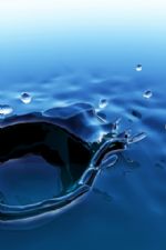 Click To View This Image