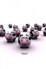 Click To View This Image