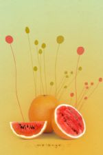 Click To View This Image