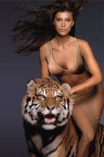 Click To View This Image