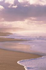 Click To View This Image