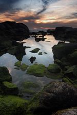 Click To View This Image