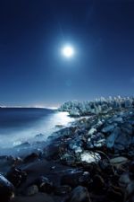 Click To View This Image