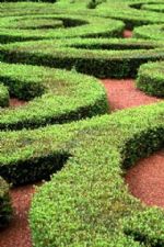 Click To View This Image