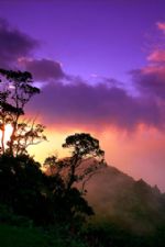 Click To View This Image