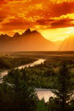 Click To View This Image