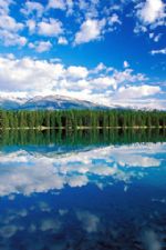 Click To View This Image