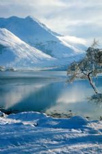 Click To View This Image