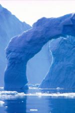 Click To View This Image