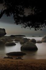 Click To View This Image