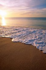 Click To View This Image