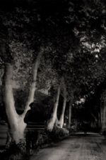 Click To View This Image