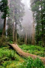 Click To View This Image