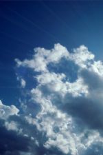 Click To View This Image