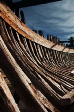 Click To View This Image