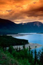 Click To View This Image