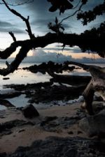 Click To View This Image