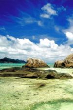 Click To View This Image