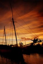 Click To View This Image