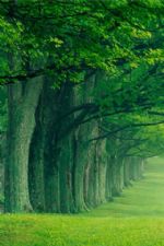 Click To View This Image